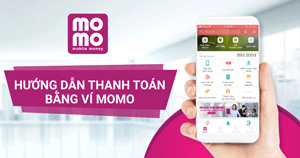 Thanh toán qua ví điện tử