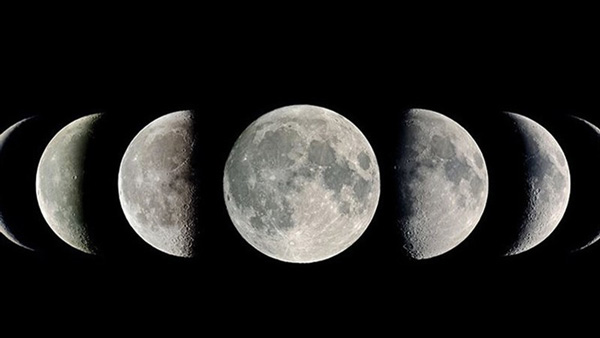 Moon Phase sẽ dự đoán được điều gì?