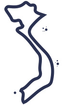 Icon Việt Nam